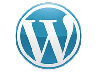 Wordpress Servcies | Uk Website Designer